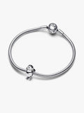 Skiing Penguin Charm
